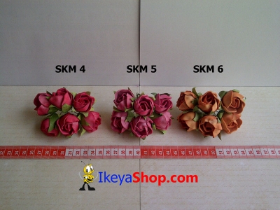 SKM 4 6  large2